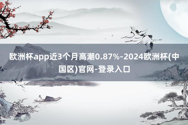 欧洲杯app近3个月高潮0.87%-2024欧洲杯(中国区)官网-登录入口