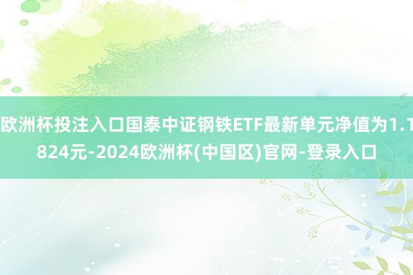 欧洲杯投注入口国泰中证钢铁ETF最新单元净值为1.1824元-2024欧洲杯(中国区)官网-登录入口