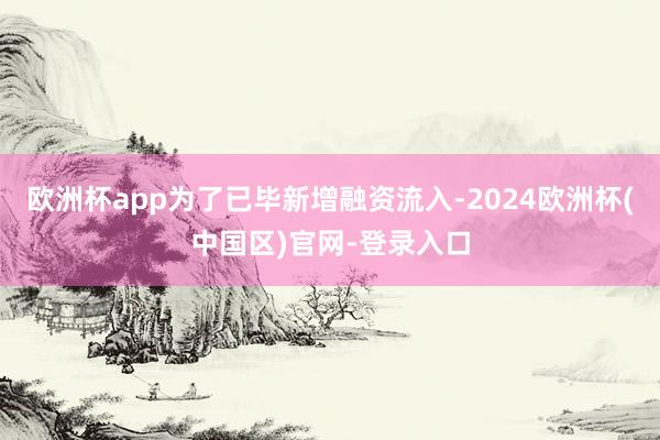 欧洲杯app为了已毕新增融资流入-2024欧洲杯(中国区)官网-登录入口