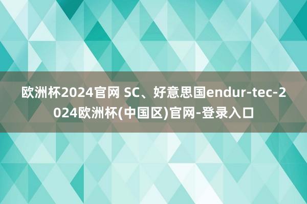 欧洲杯2024官网 SC、好意思国endur-tec-2024欧洲杯(中国区)官网-登录入口