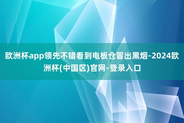 欧洲杯app领先不错看到电板仓冒出黑烟-2024欧洲杯(中国区)官网-登录入口