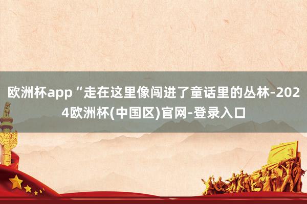 欧洲杯app“走在这里像闯进了童话里的丛林-2024欧洲杯(中国区)官网-登录入口
