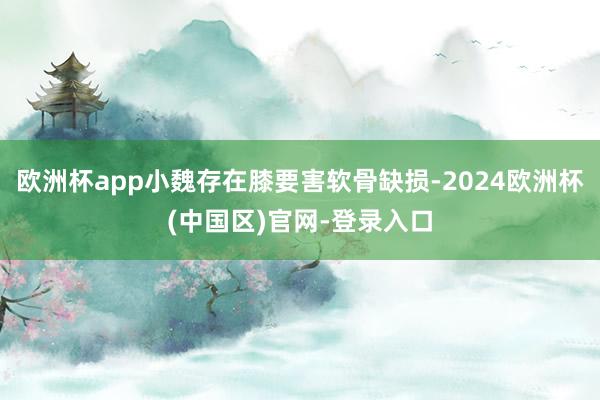 欧洲杯app小魏存在膝要害软骨缺损-2024欧洲杯(中国区)官网-登录入口