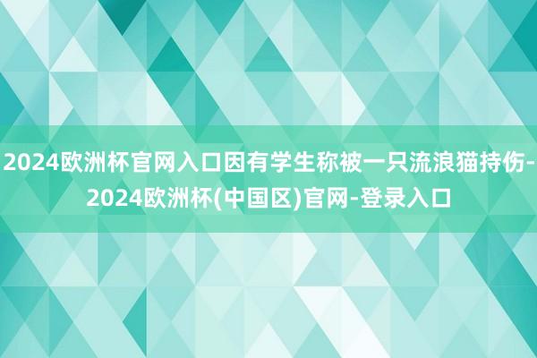 2024欧洲杯官网入口因有学生称被一只流浪猫持伤-2024欧洲杯(中国区)官网-登录入口